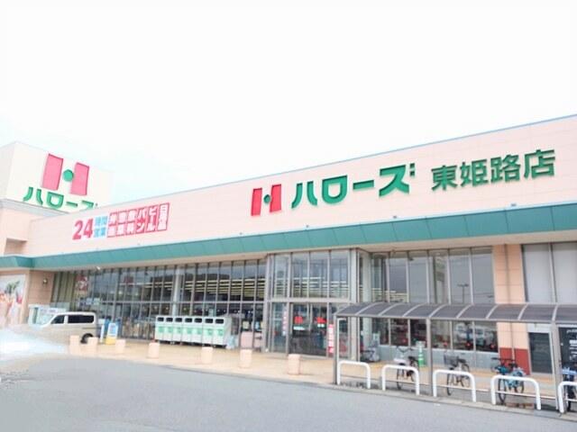 ハローズ：700m