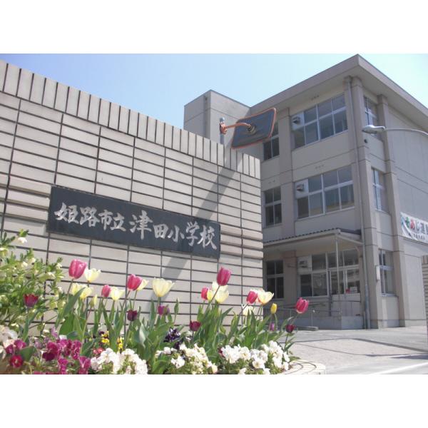 津田小学校：617m