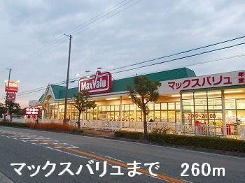 マックスバリュ：260m