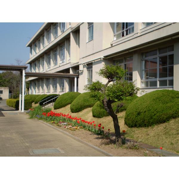 琴陵中学校：663m