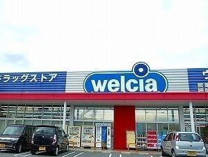 ウェルシア：550m
