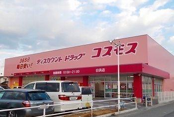 コスモス：550m