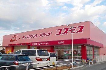ドラッグストアコスモス北原店：500m
