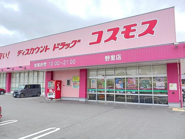 コスモス：800m