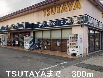 TSUTAYA：300m