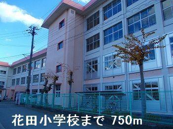 花田小学校：750m