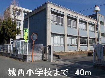 城西小学校：40m