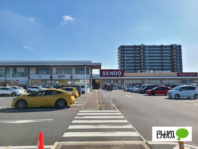 せんどう袖ケ浦店