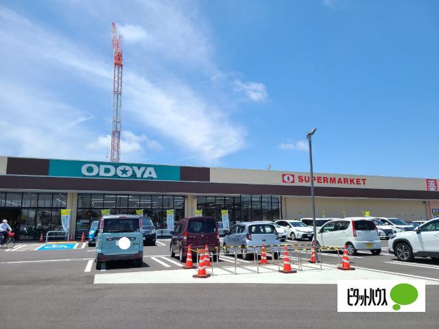 ODOYA江川店