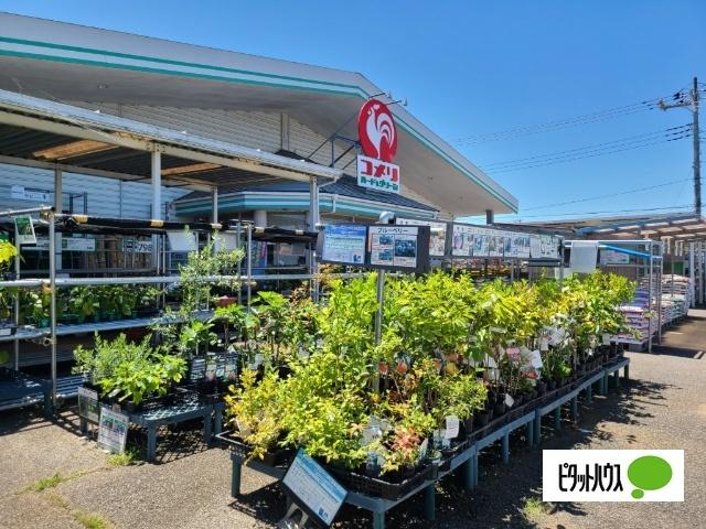 コメリハード＆グリーン木更津請西店