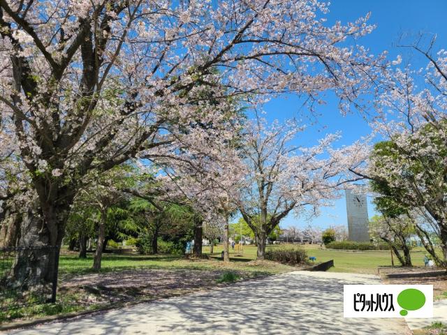 清見台中央公園
