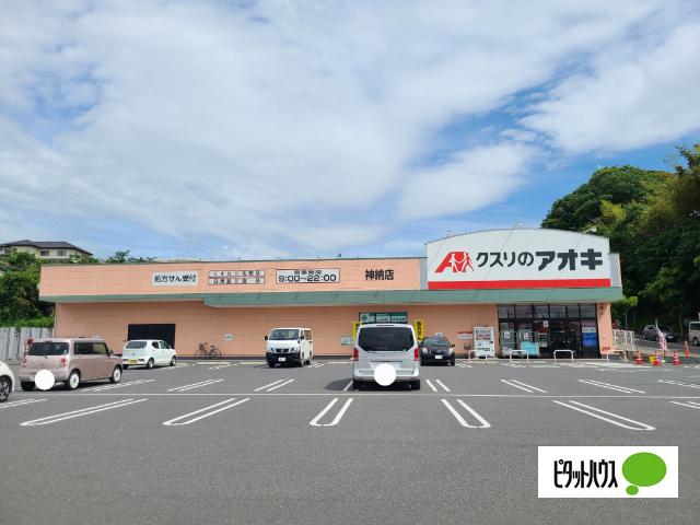 ドラックストア