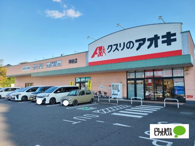 ドラックストア