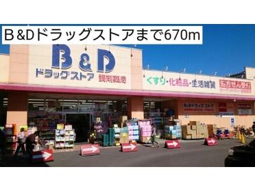 Ｂ&Dドラッグストア：670m