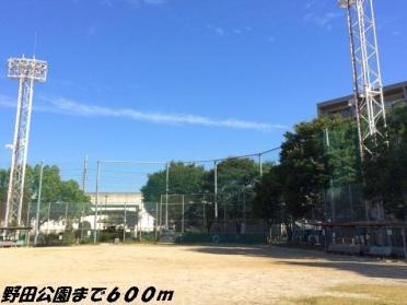 野田公園：600m