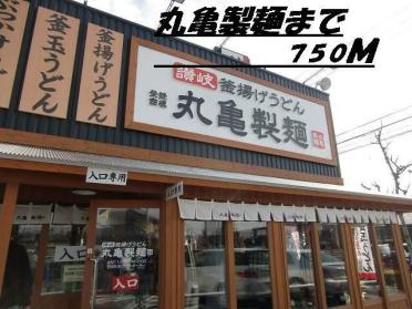 丸亀製麺：750m