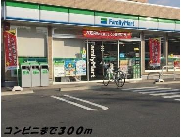 ファミリーマート：300m