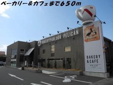 ペリカン：650m