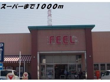 フィール：1000m