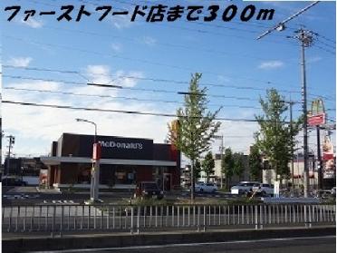 マクドナルド：300m