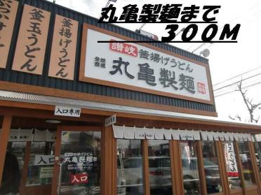 丸亀製麺：300m