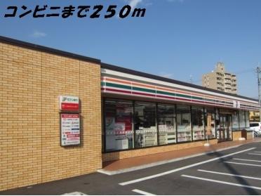 セブンイレブン：250m