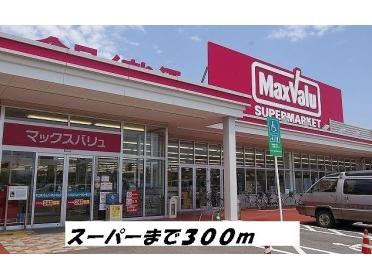 マックスバリュ：300m