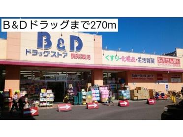 Ｂ&Ｄドラッグ：270m