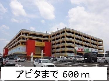 アピタ：600m