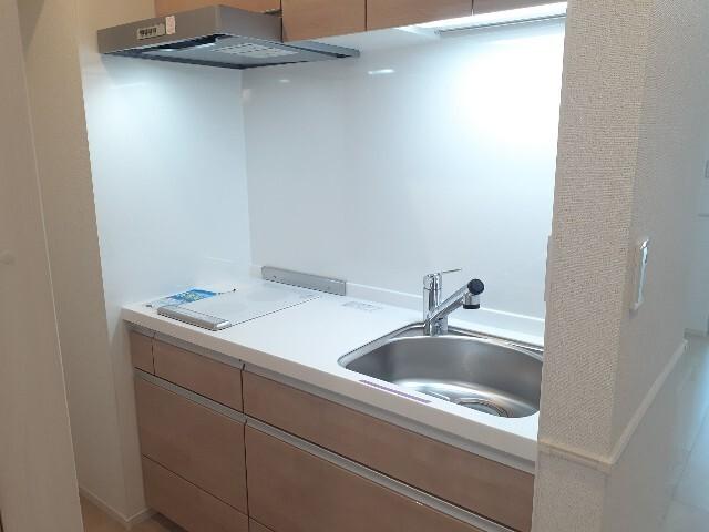 ｉｚｕｍｉ１（イズミ１）（101） キッチン