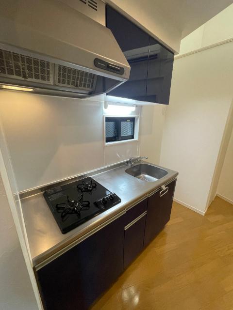 Terre-Ⅳ（103） キッチン