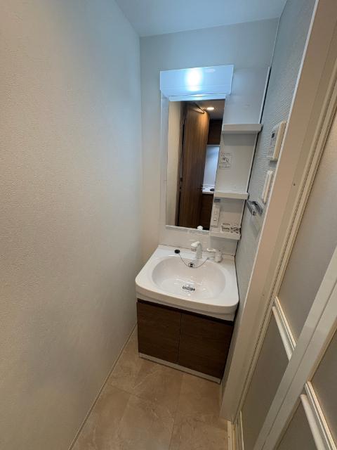 S-RESIDENCE名古屋菊井aline（202） 洗面