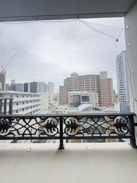 St.Regis Izumi（スタジオタイプ）（1002） 眺望