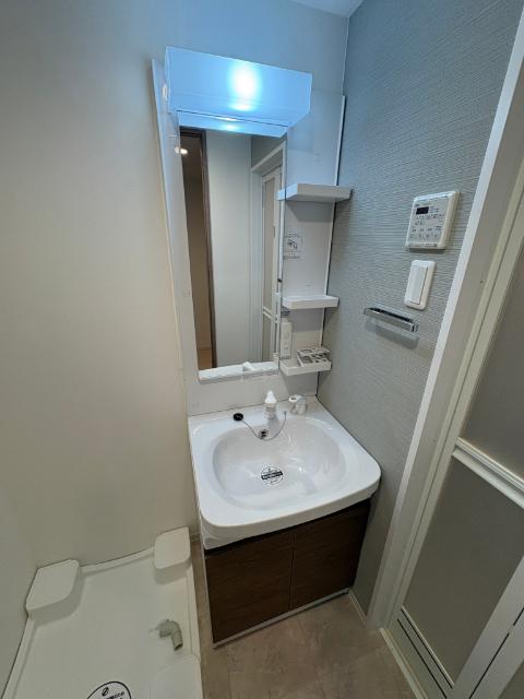 S-RESIDENCE名古屋菊井aline（203） 洗面