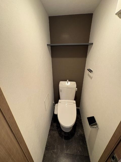 S-RESIDENCE名古屋菊井aline（203） トイレ