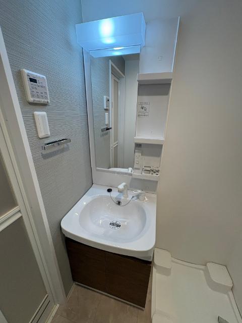 S-RESIDENCE名古屋菊井aline（204） 洗面