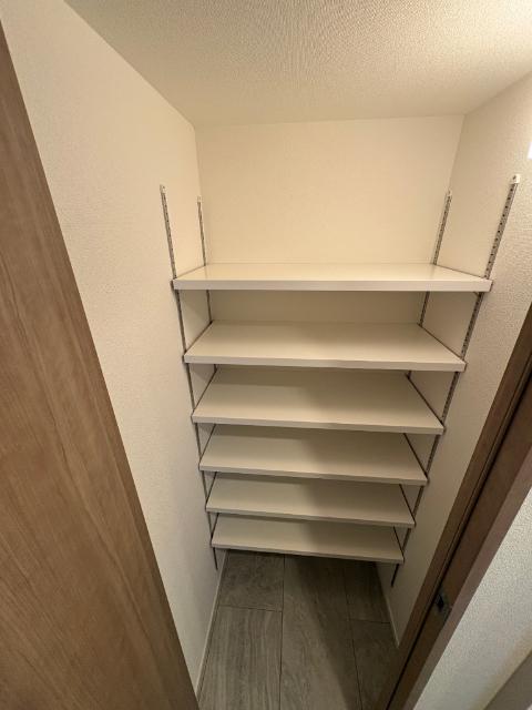 S-RESIDENCE名古屋菊井aline（205） 収納