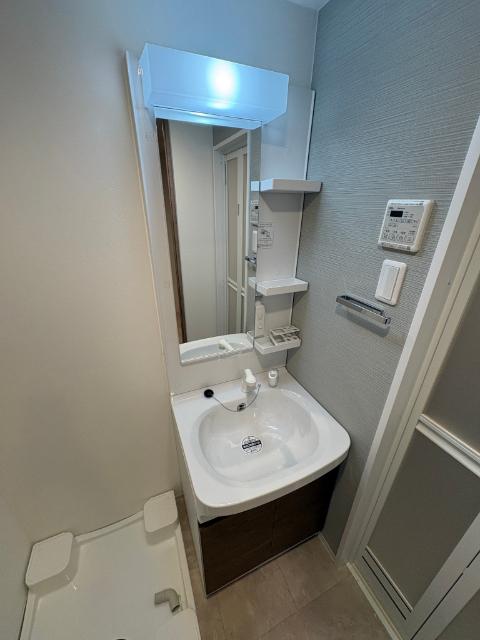 S-RESIDENCE名古屋菊井aline（205） 洗面