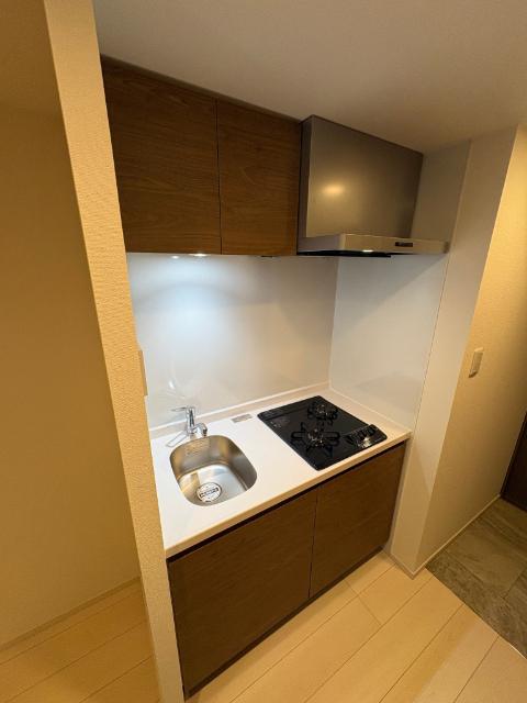 S-RESIDENCE名古屋菊井aline（205） キッチン