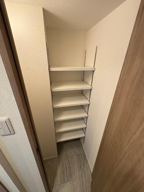 S-RESIDENCE名古屋菊井aline（206） 収納