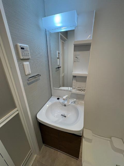 S-RESIDENCE名古屋菊井aline（206） 洗面