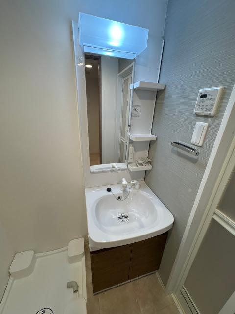 S-RESIDENCE名古屋菊井aline（208） 洗面