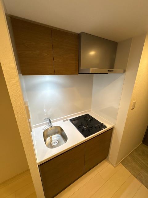 S-RESIDENCE名古屋菊井aline（208） キッチン