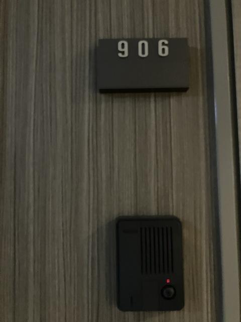 カスタリア新栄Ⅱ（0906） 玄関