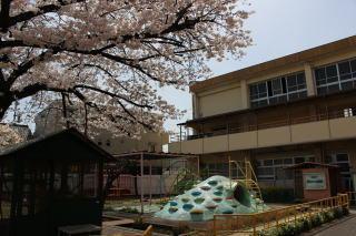名古屋市立中村小学校：231m