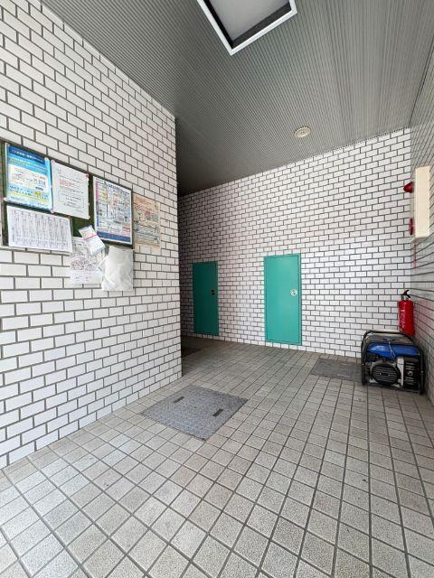 ラッキーキャット（601） その他