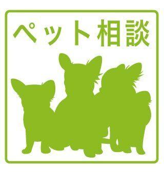 Creo庄内通参番館（103） その他