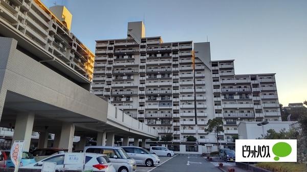ロイヤルコート半田壱番館Ⅱ 外観