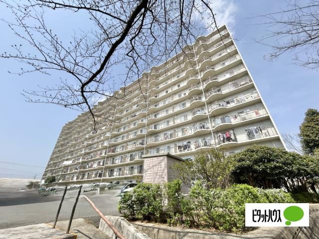 11階建て10階部分
