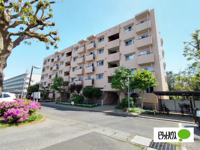 南向きで明るく開放感のある2階のお部屋。2024年12月に内装リフォーム済